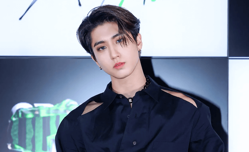 Han stray kids