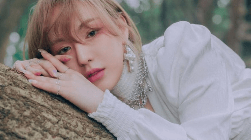 wendy red velvet