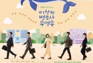 Extraordinary Attorney Woo