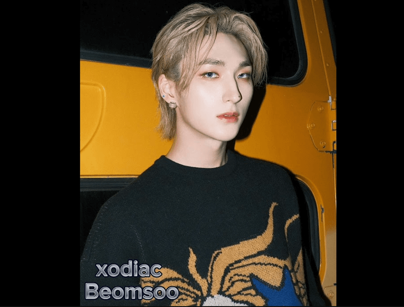 Beomsoo xodiac