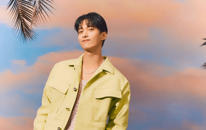 Biodata dan Profil DK SEVENTEEN