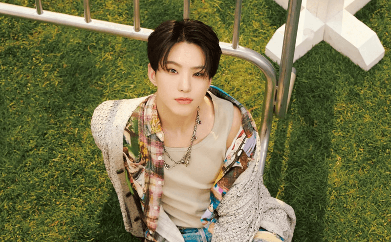 Biodata dan Profil Hoshi SEVENTEEN