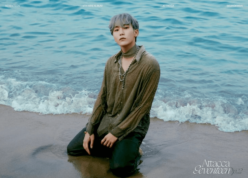 Biodata dan Profil Seungkwan SEVENTEEN