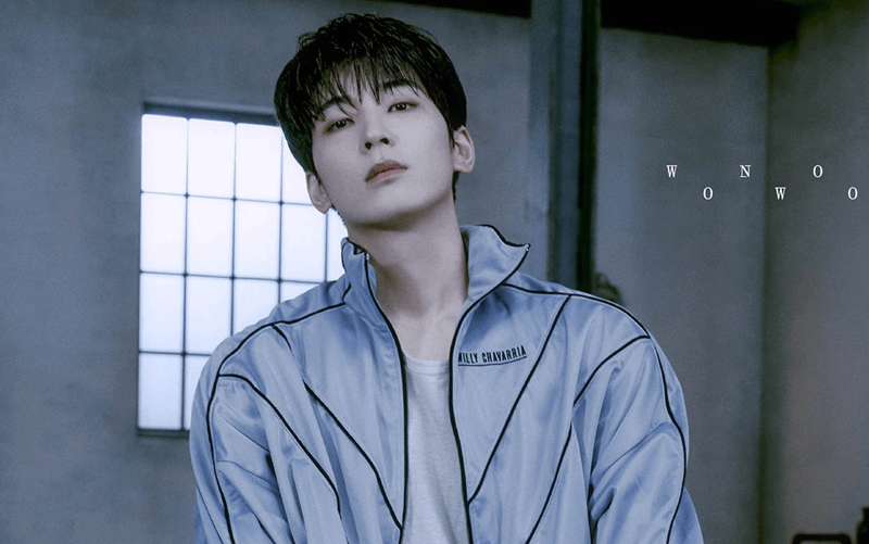 Diskografi Wonwoo SEVENTEEN