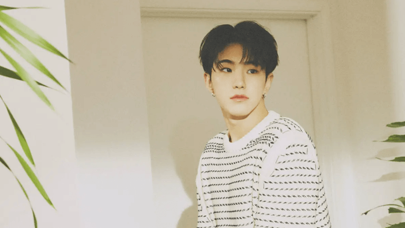 Fakta Hoshi SEVENTEEN