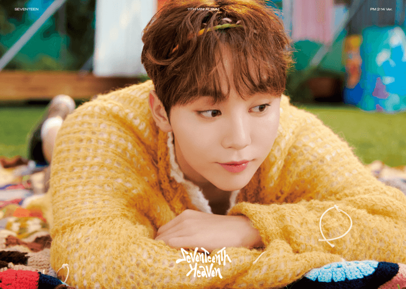Fakta Seungkwan SEVENTEEN
