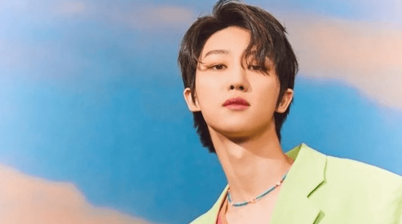 Fakta The8 SEVENTEEN