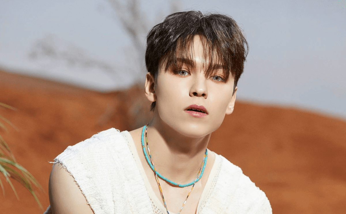 Profil Vernon SEVENTEEN Terbaru