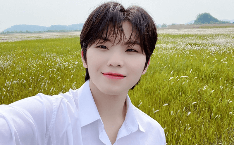 woozi seventeen