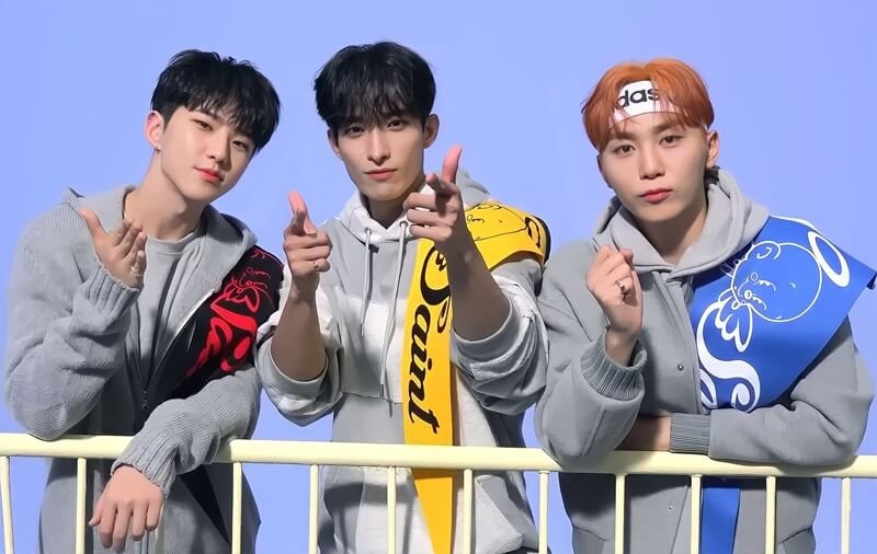 2018 Director's Cut, BSS, Japanese debut, You Make My Day, Ideal Cut concerts