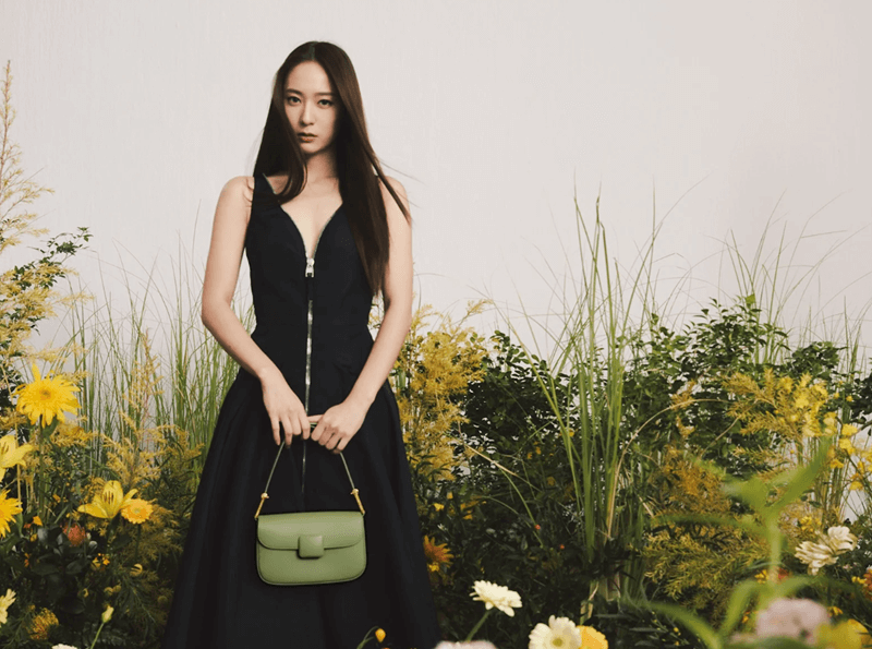 Agensi Krystal Jung, BANA
