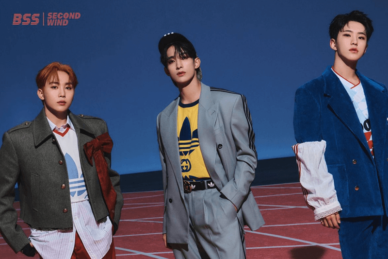 Member BSS SEVENTEEN
