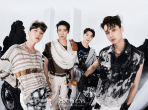 Tentang Performance Team SEVENTEEN