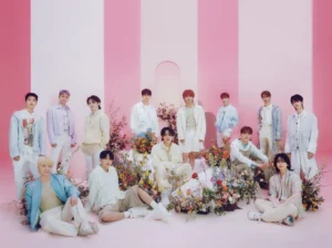 warna fandom seventeen