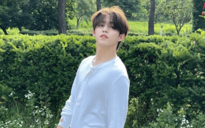 s.coups tidak wamil