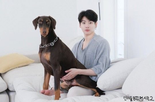 anjing Doberman