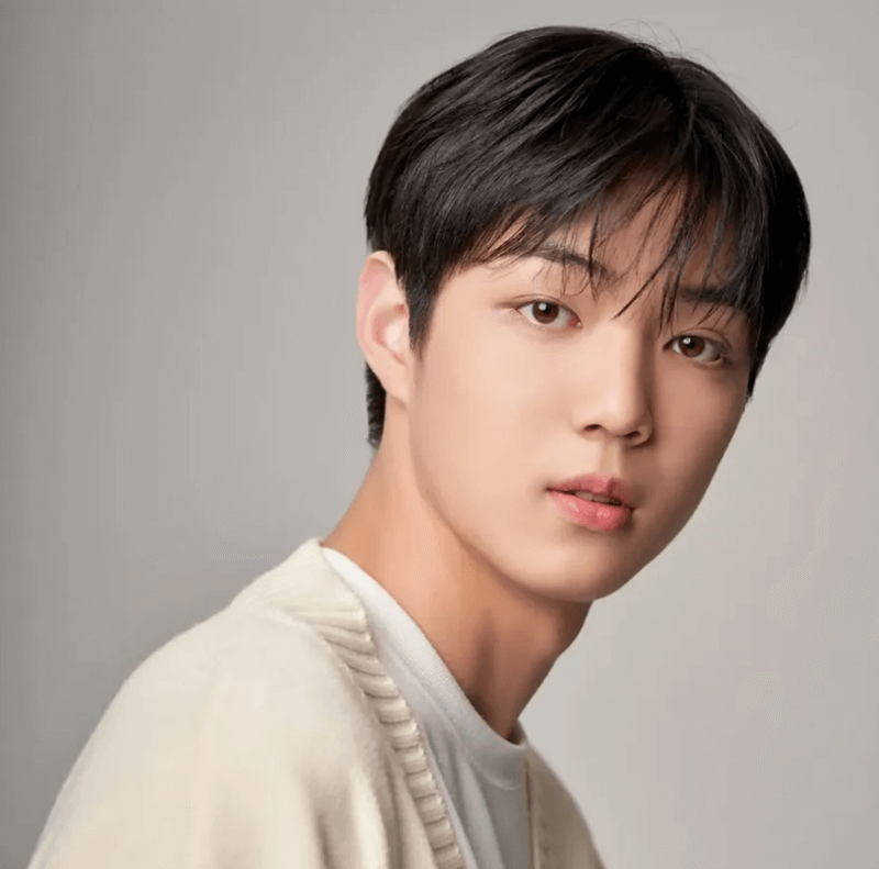 Jeon Jin Seo (Jeon Jae Ha Jungkook BTS)