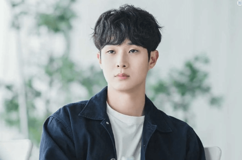 Peran Choi Woo Shik Sebagai Jun Ho